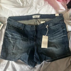 Torrid size 18 shorts NWT